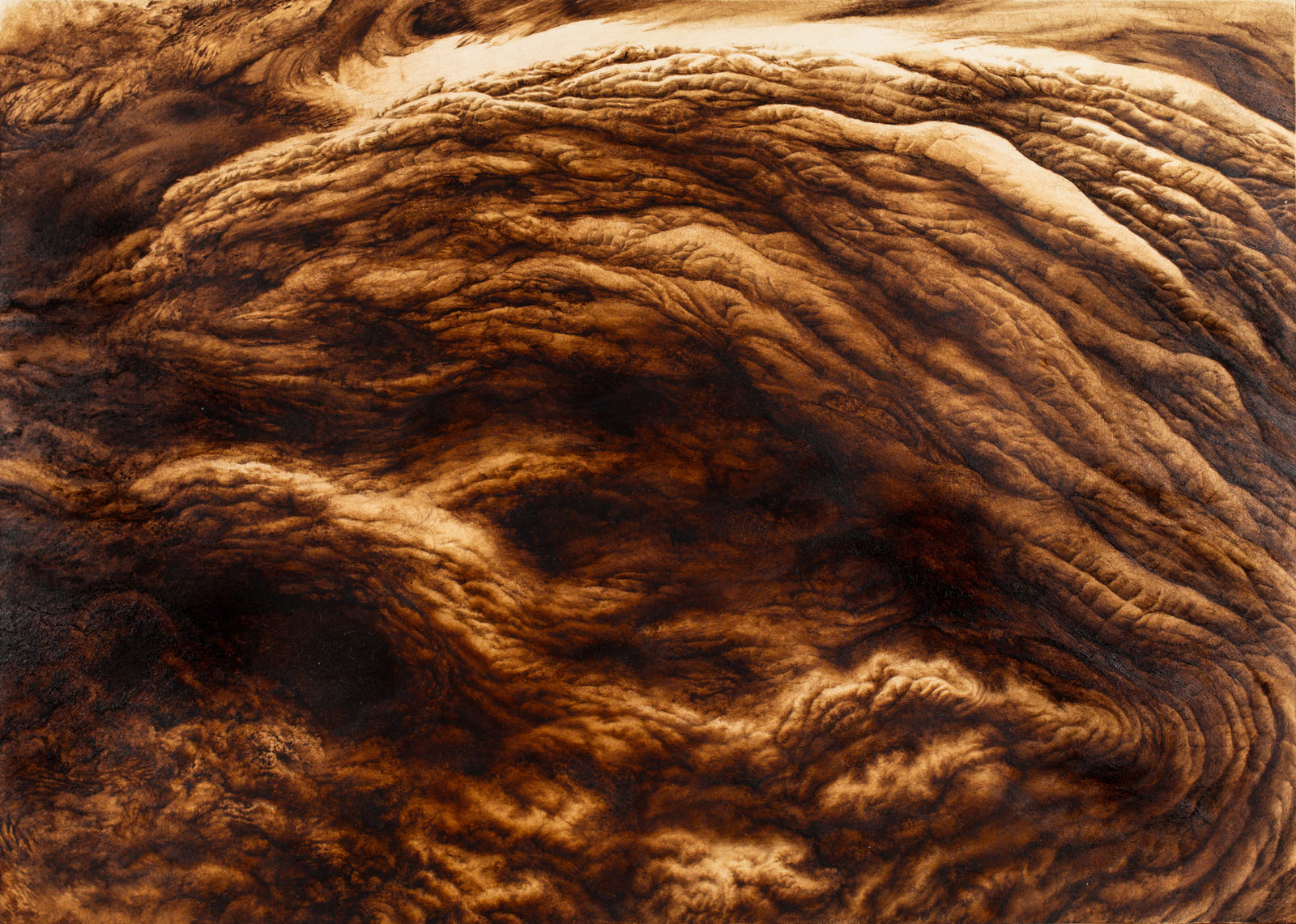 Ava Markle, Untitled, 2024