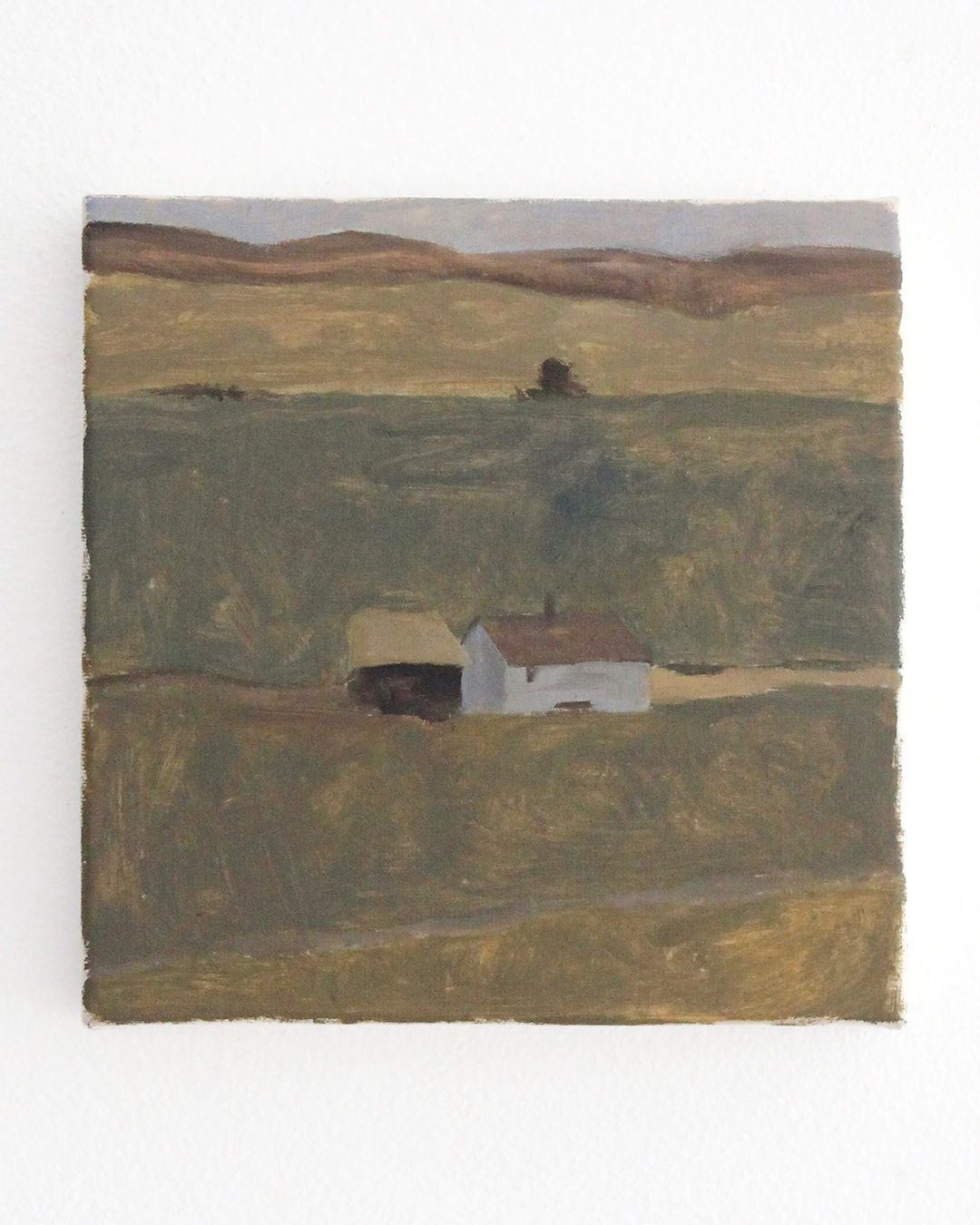 Lucas Rubly, house and shed, 2024