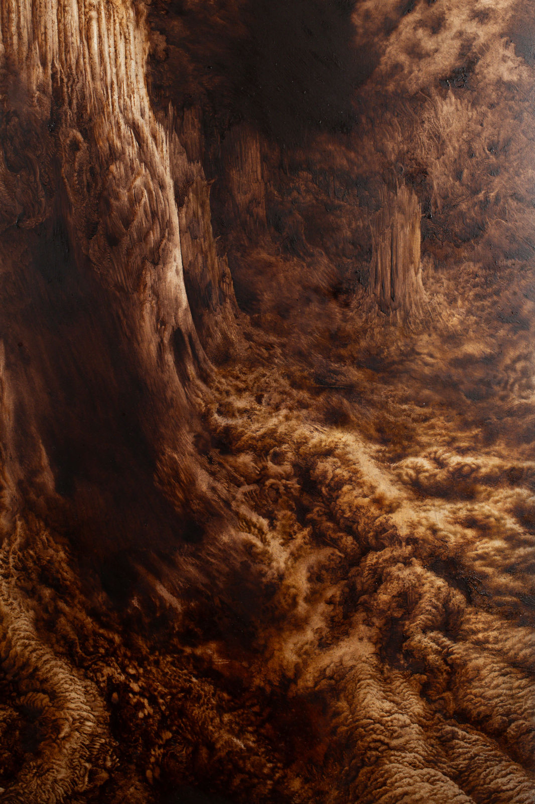 Ava Markle, Untitled, 2024