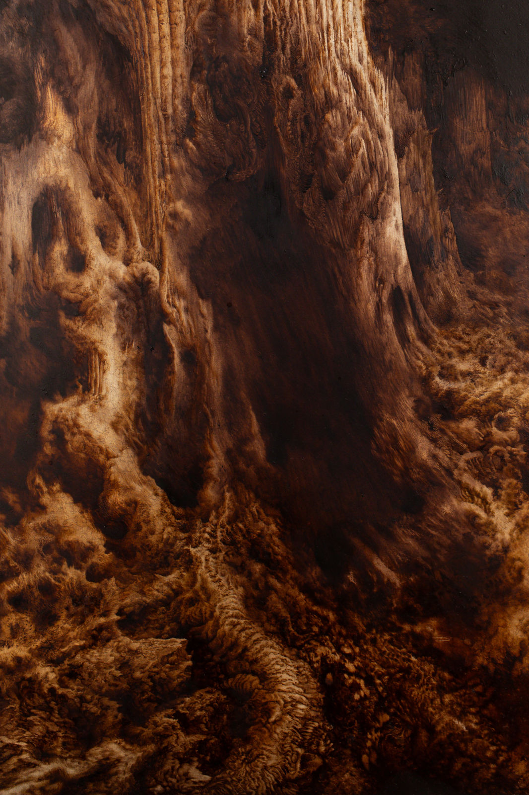 Ava Markle, Untitled, 2024