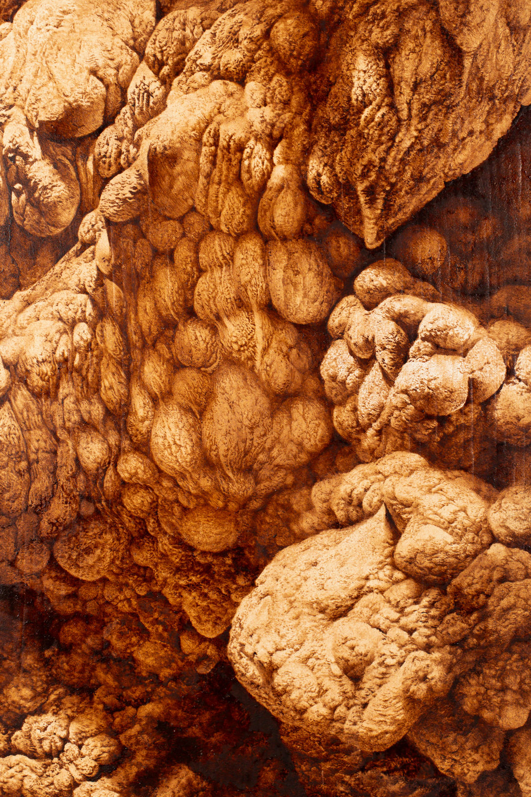 Ava Markle, Untitled, 2023