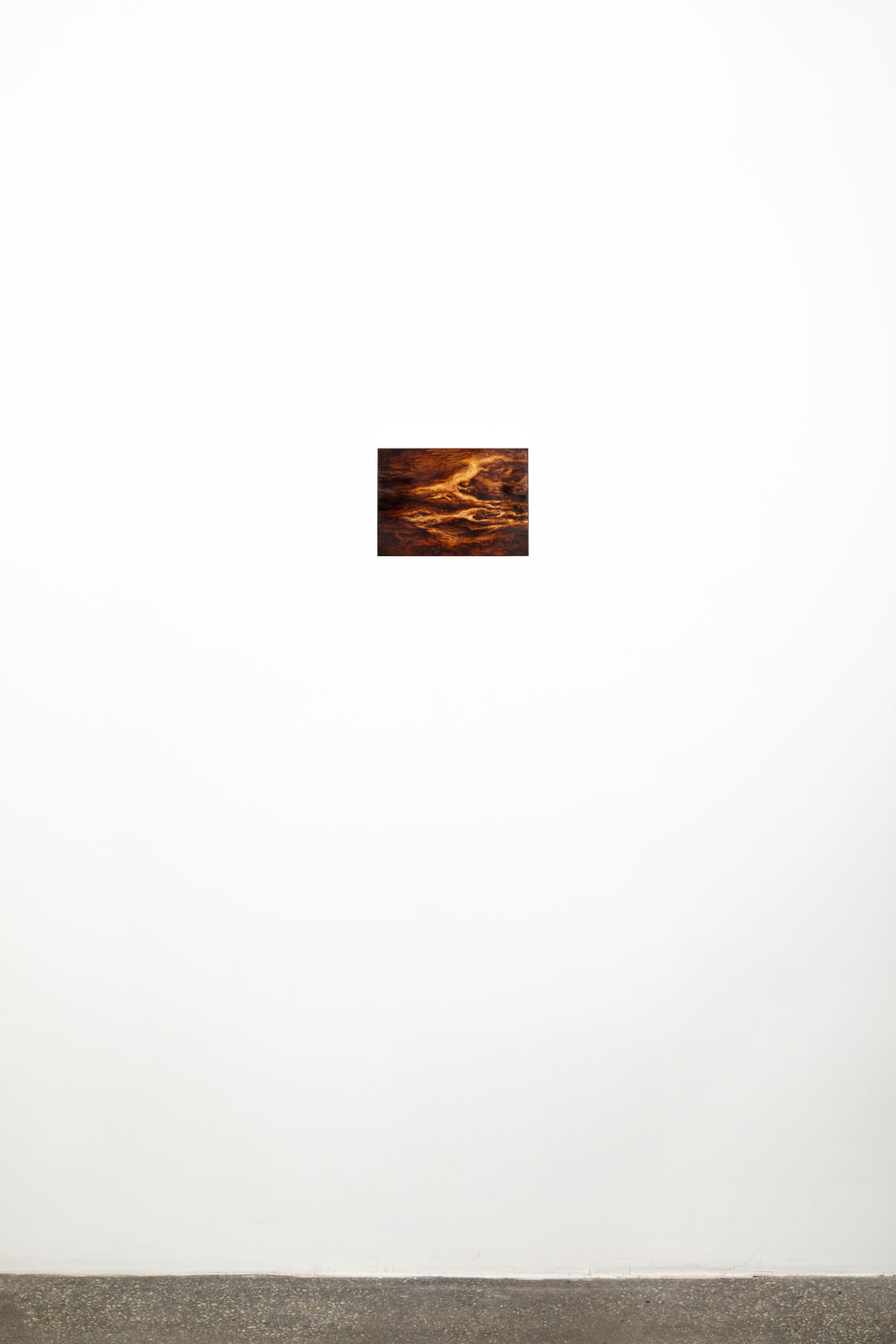 Ava Markle, Untitled, 2024