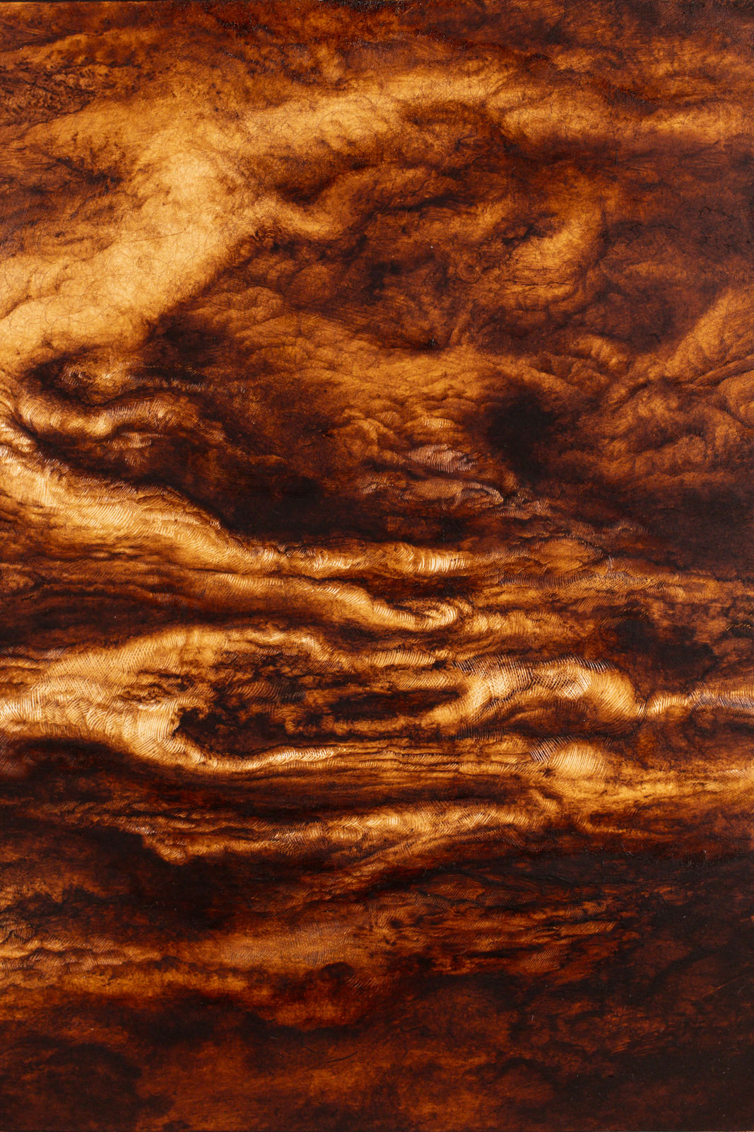 Ava Markle, Untitled, 2024