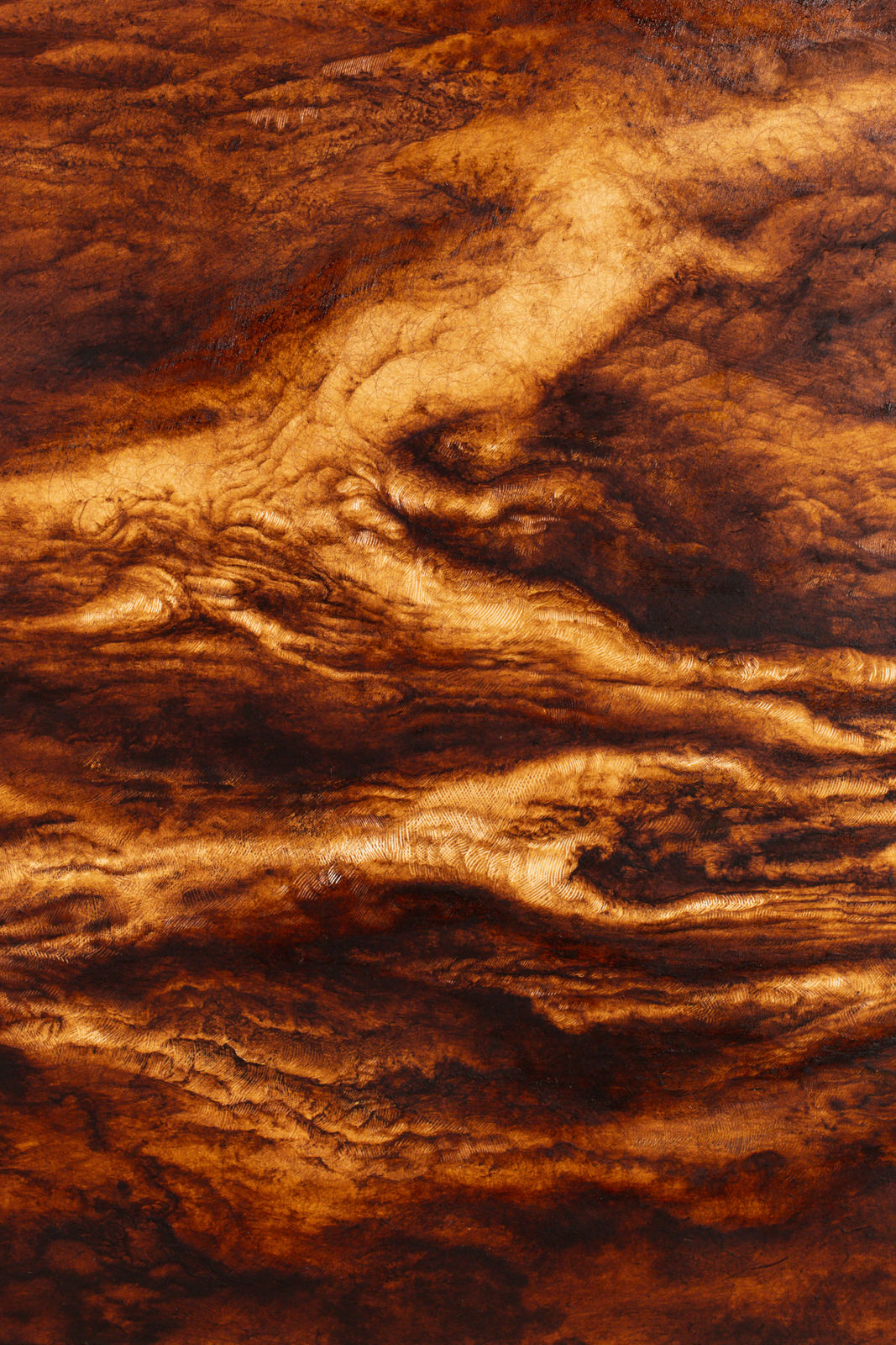 Ava Markle, Untitled, 2024