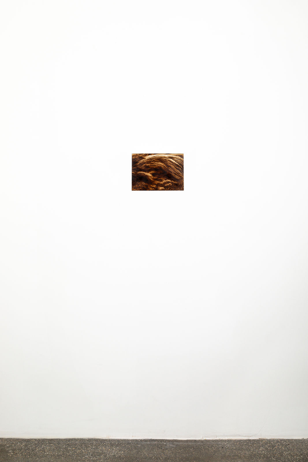 Ava Markle, Untitled, 2024