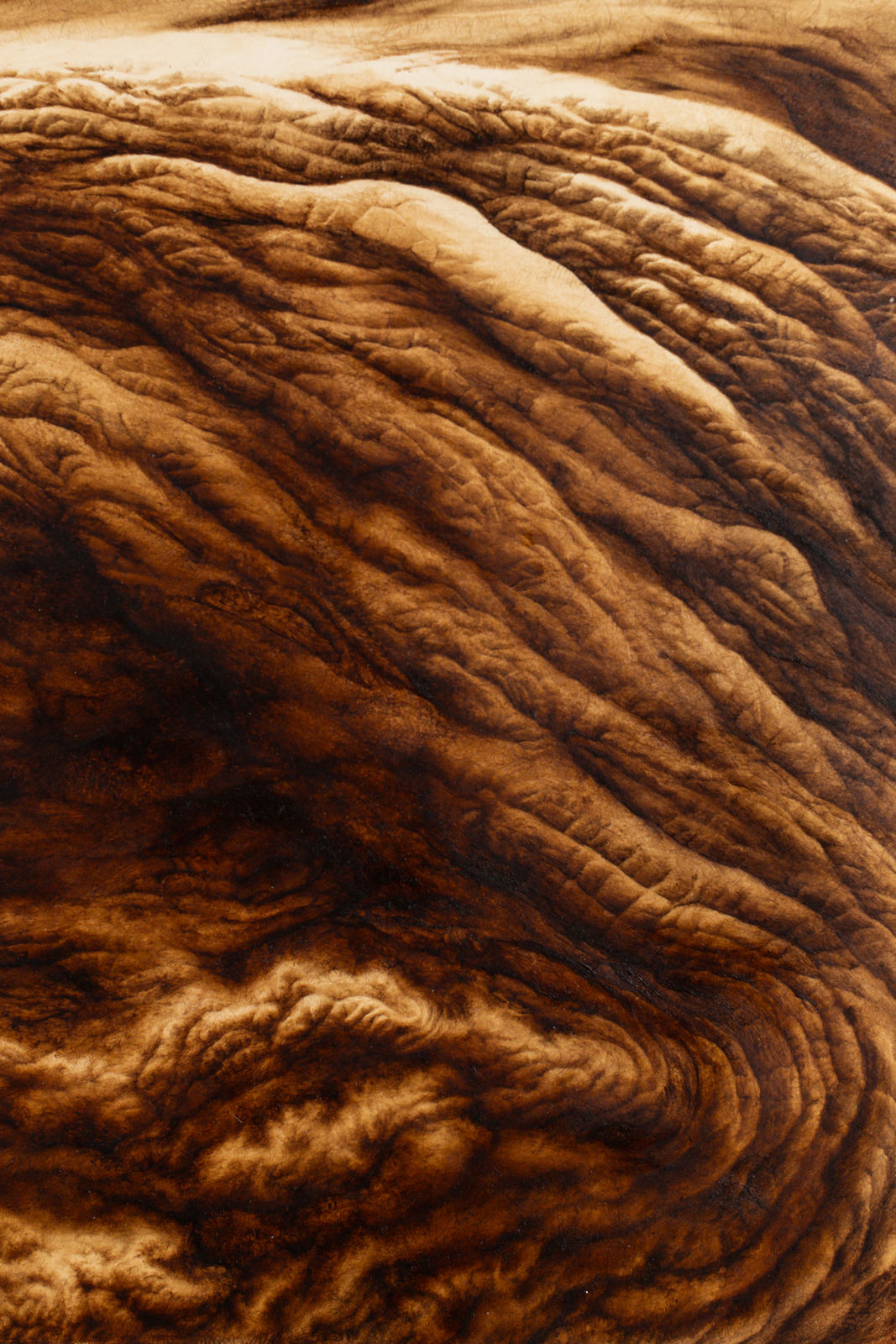 Ava Markle, Untitled, 2024