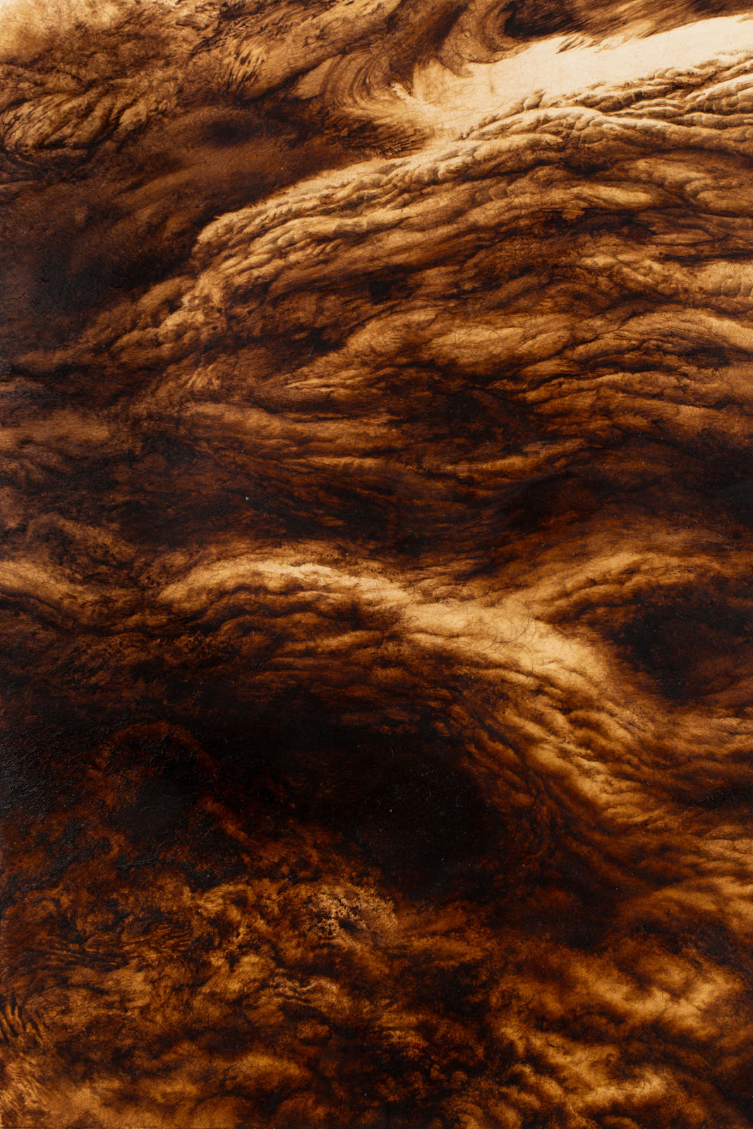 Ava Markle, Untitled, 2024