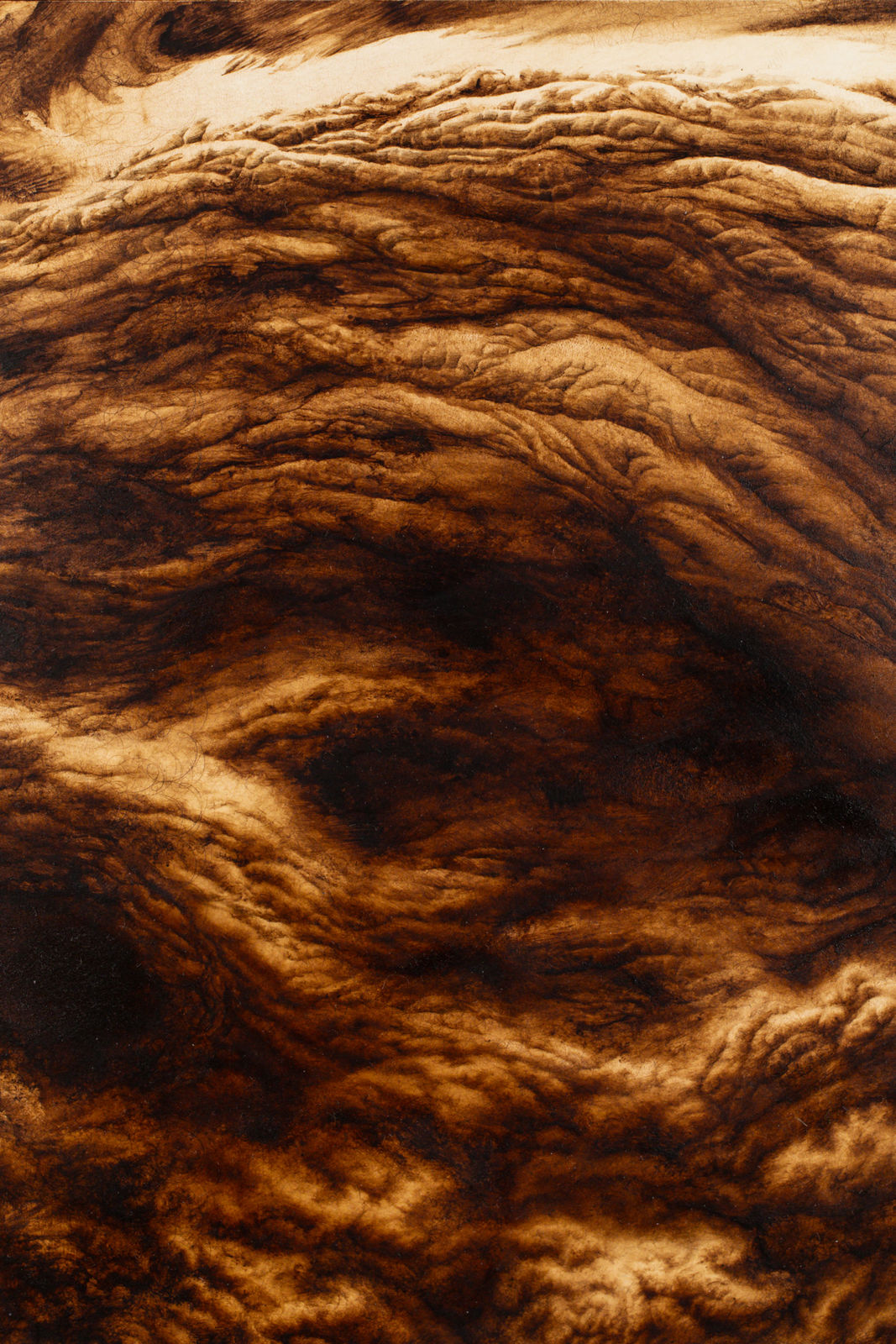 Ava Markle, Untitled, 2024