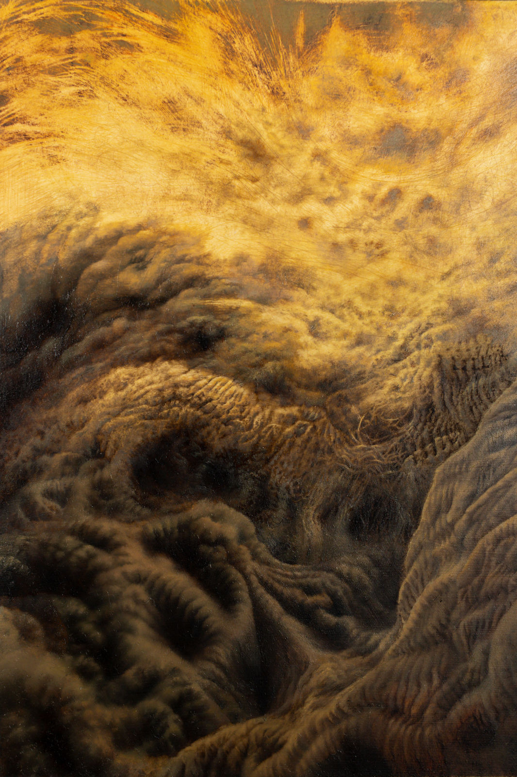 Ava Markle, Untitled, 2024