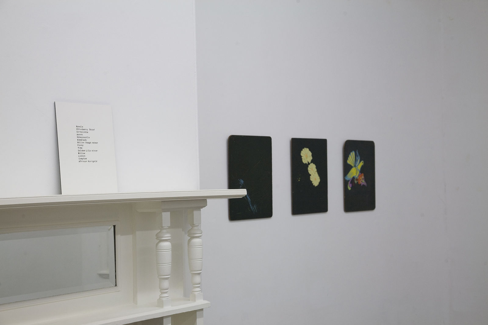 Kate Daw, In Between Days, 2011 Installation view