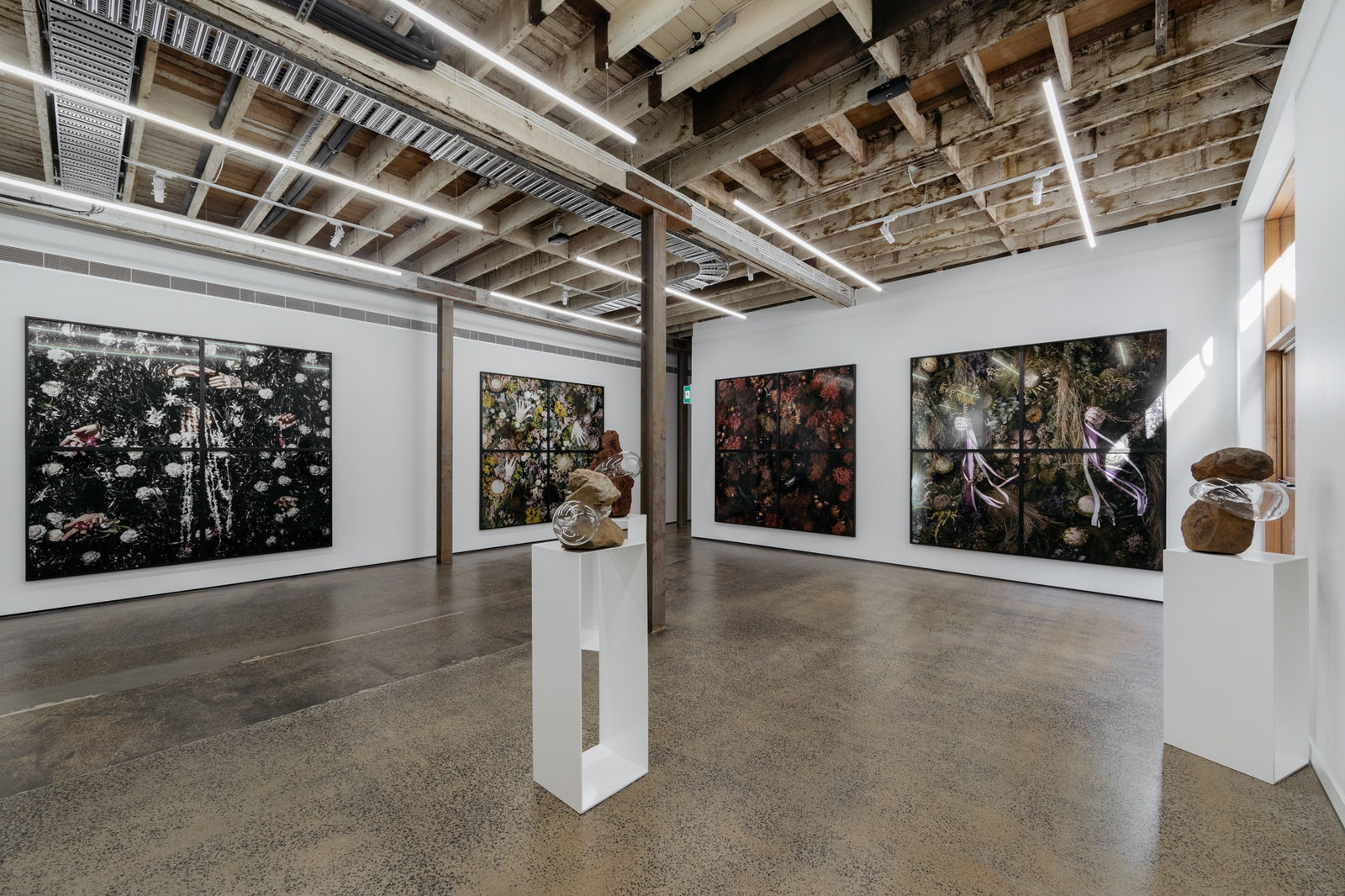 Christian Thompson, Limerence, installation view Photo: Lauren Dunn