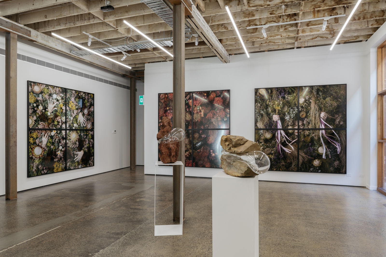 Christian Thompson, Limerence, installation view Photo: Lauren Dunn