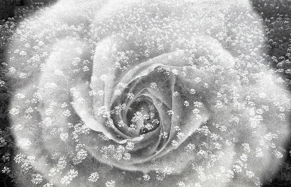 Houda Kabbaj, Sans titre