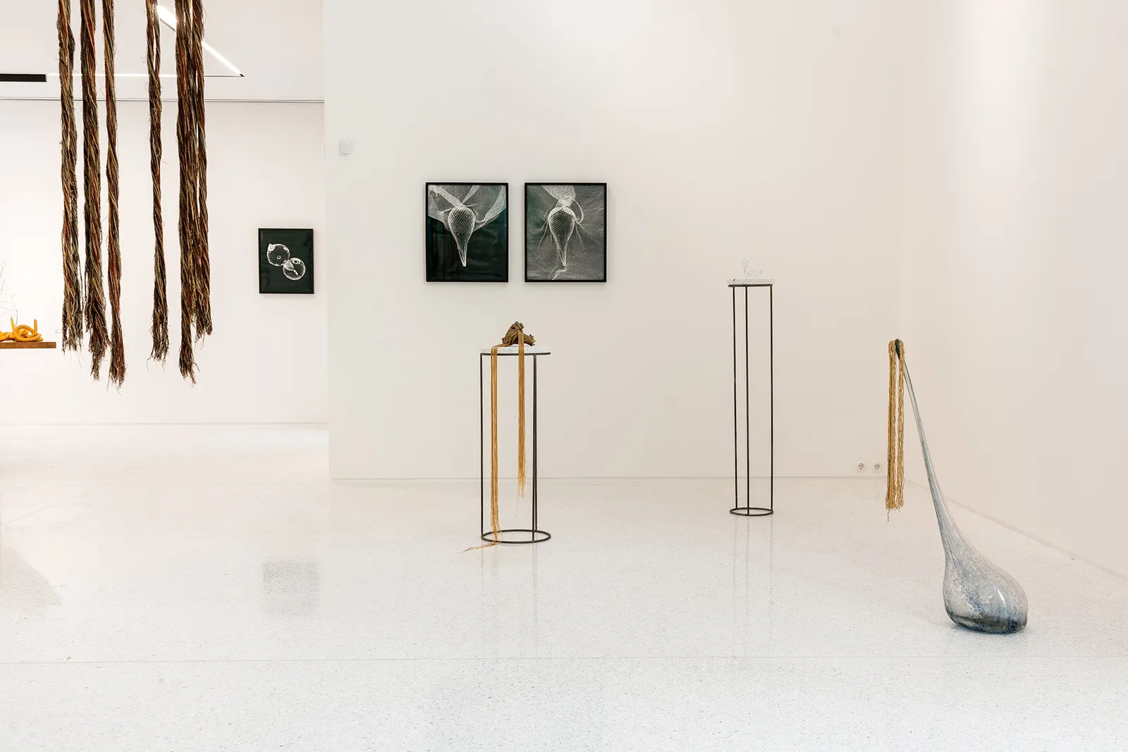 Akashi installation view at ARCH