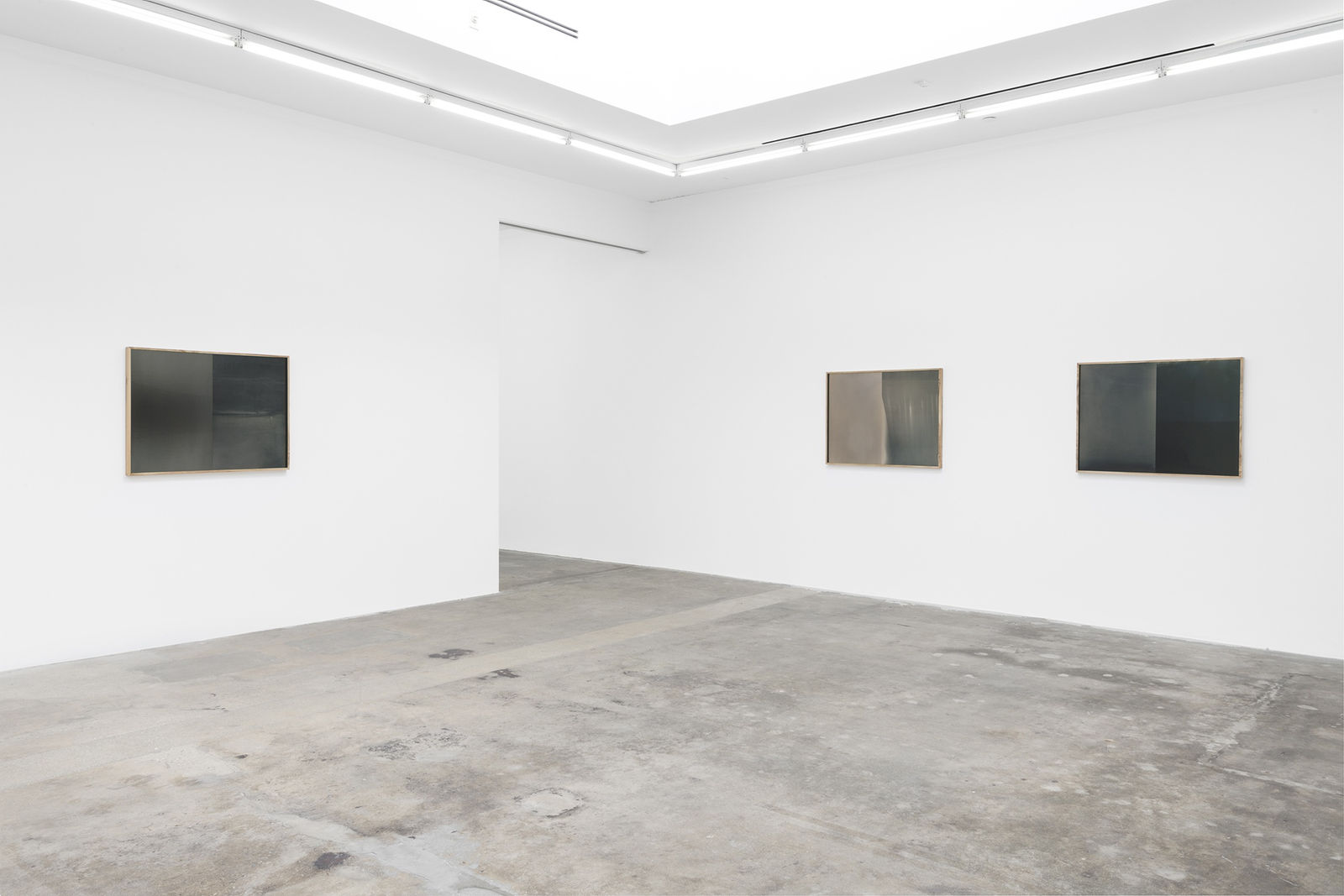 Installation view of Lisa Oppenheim, celluoids