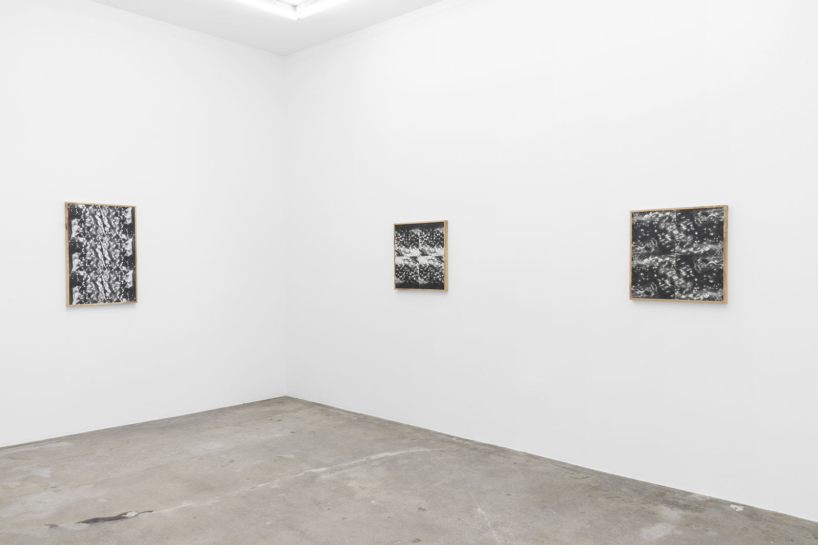 Installation view of Lisa Oppenheim, wood grain