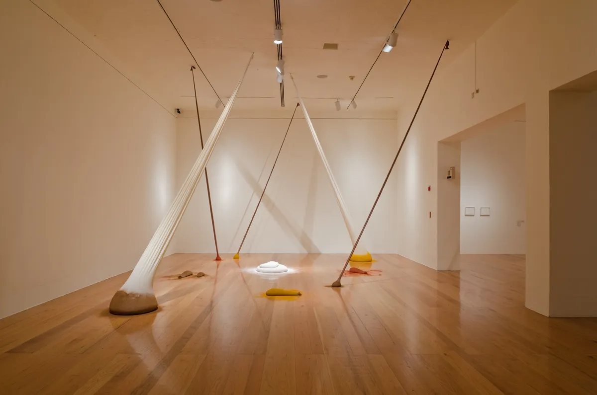 spice works, Ernesto Neto