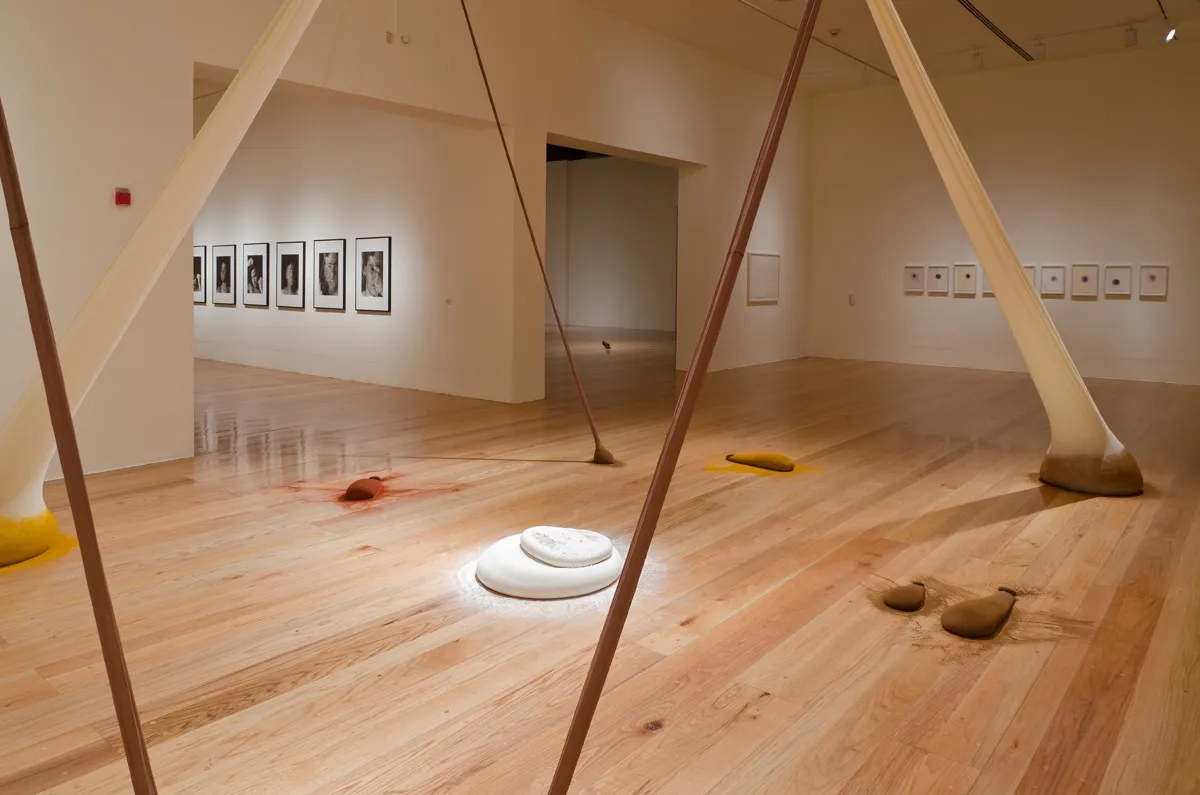 spice works, Ernesto Neto