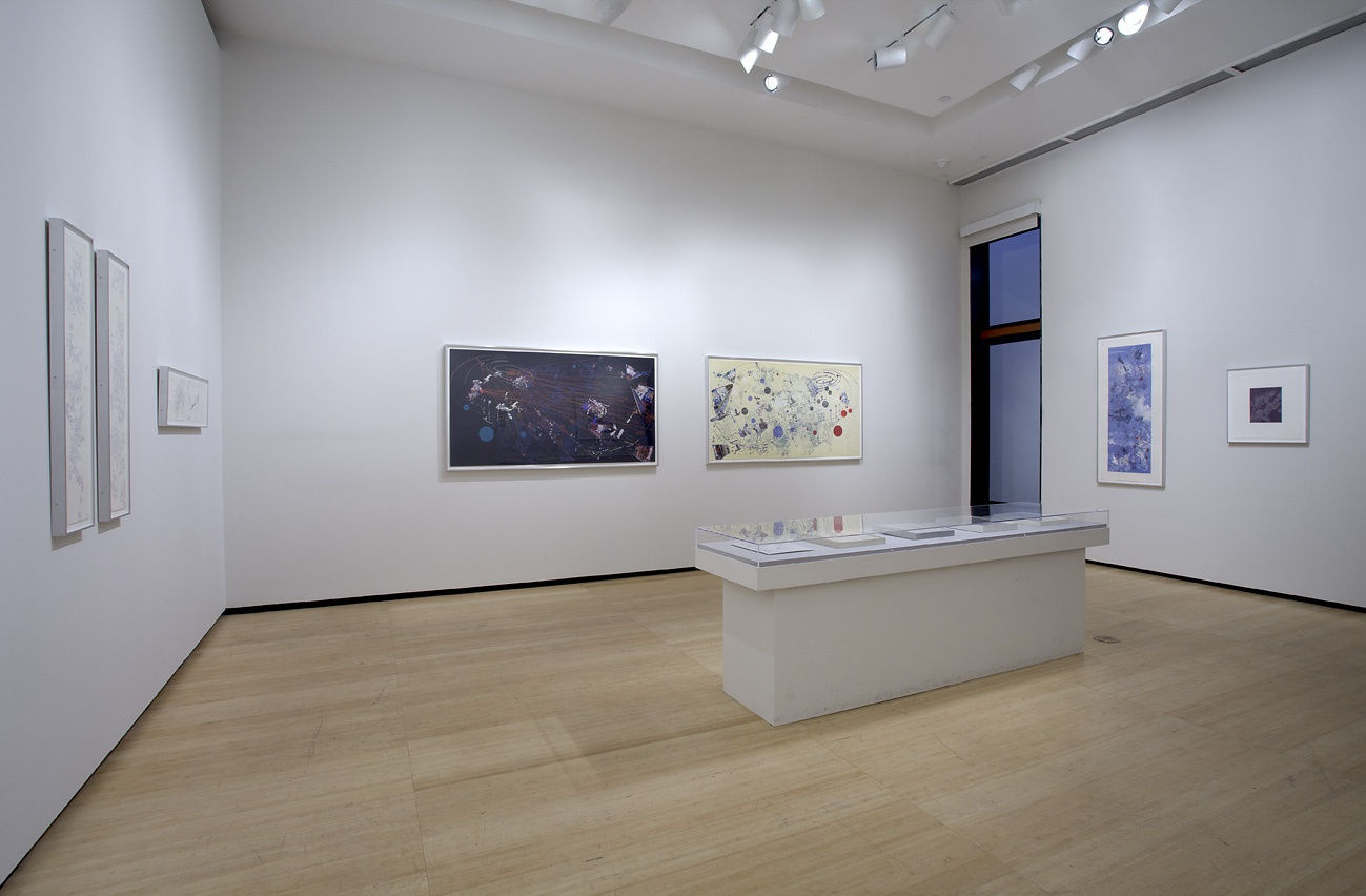 Image of an installation view at Asia Society