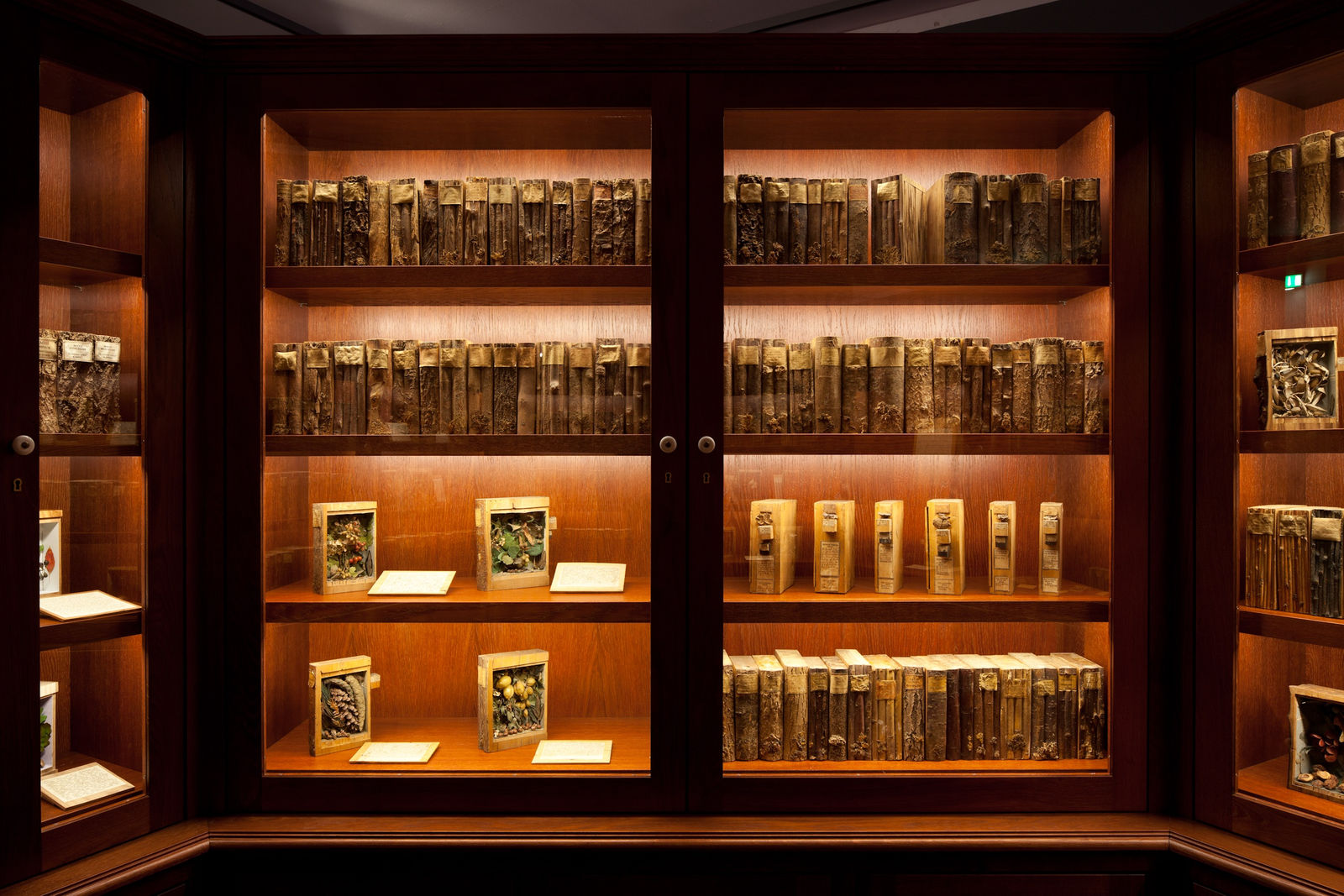 Image of Mark Dion installation, large circular bookcase cabinet