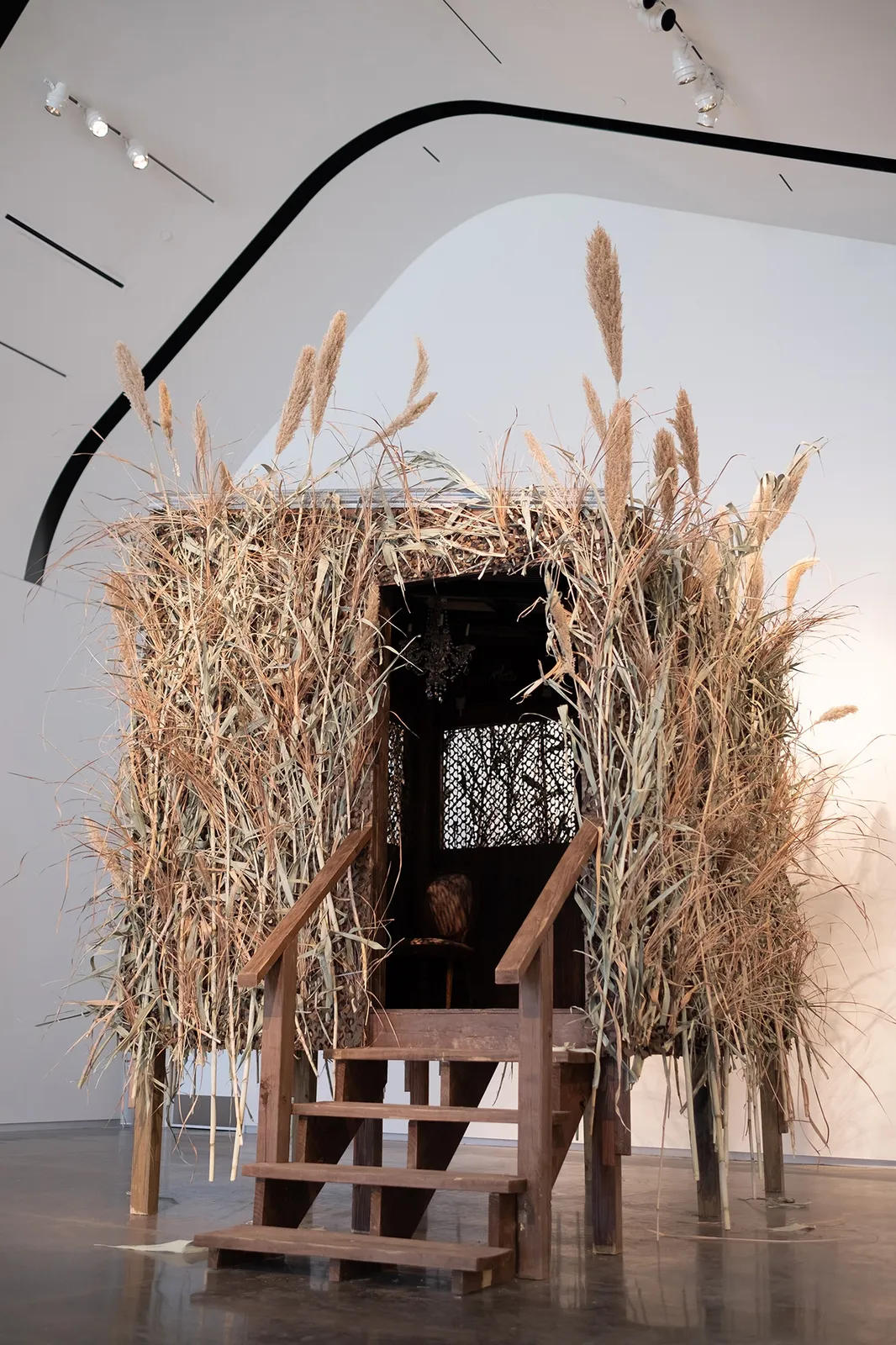 Image of Mark Dion follie