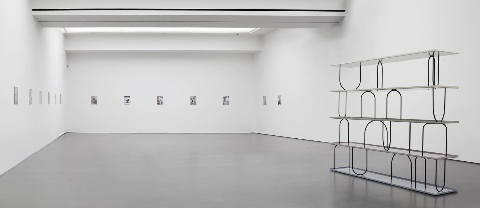 image of photographs installed on a wall