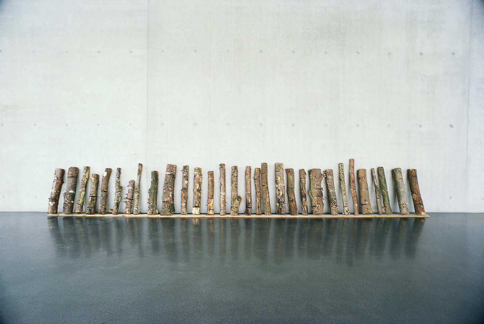 installation image of trees