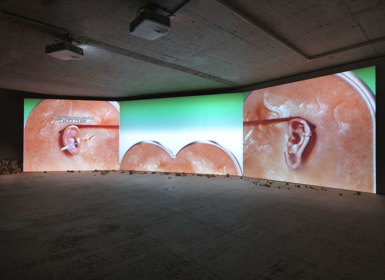 Wong Ping installation view of Earwax