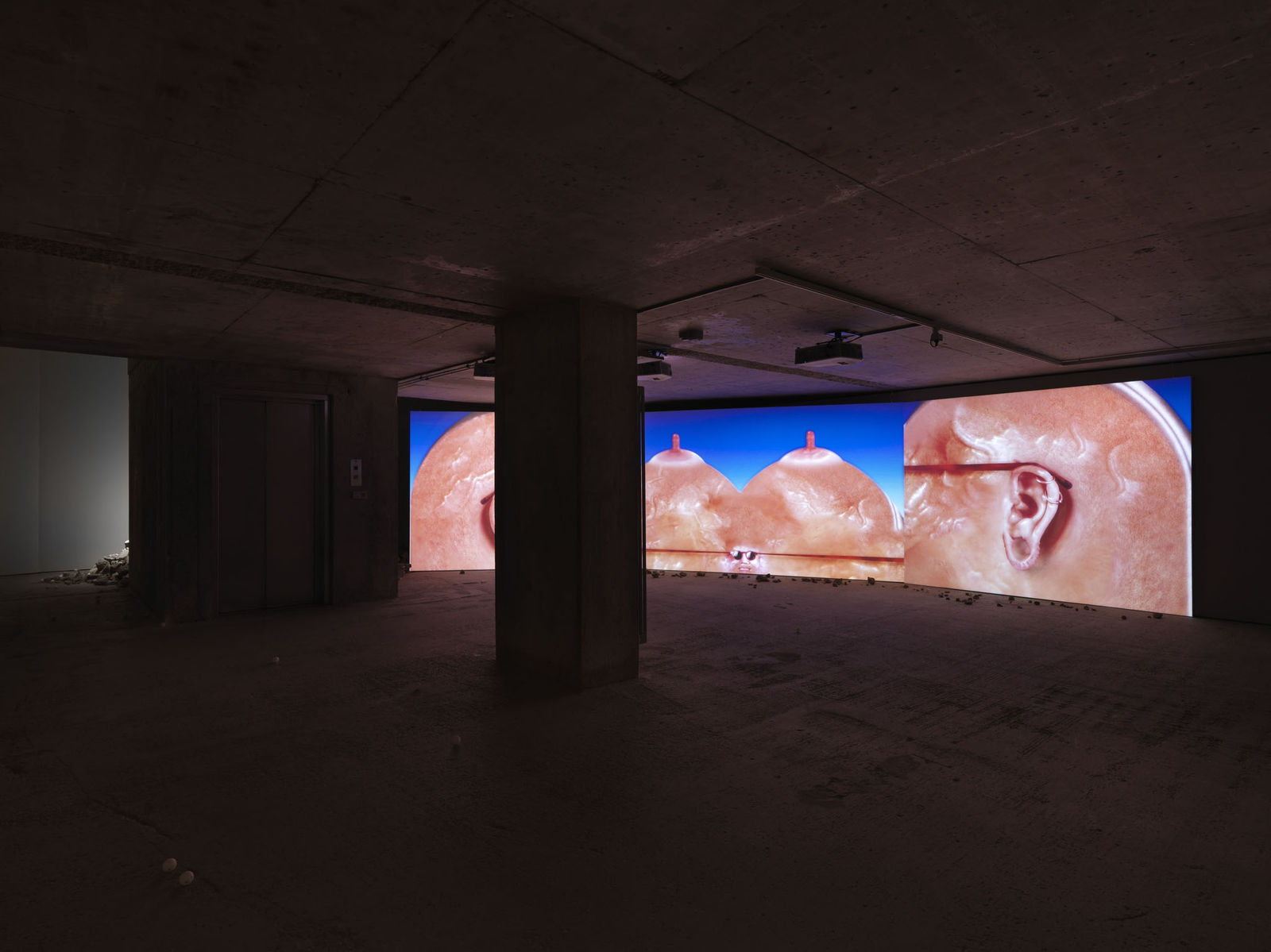 Wong Ping installation view of Earwax