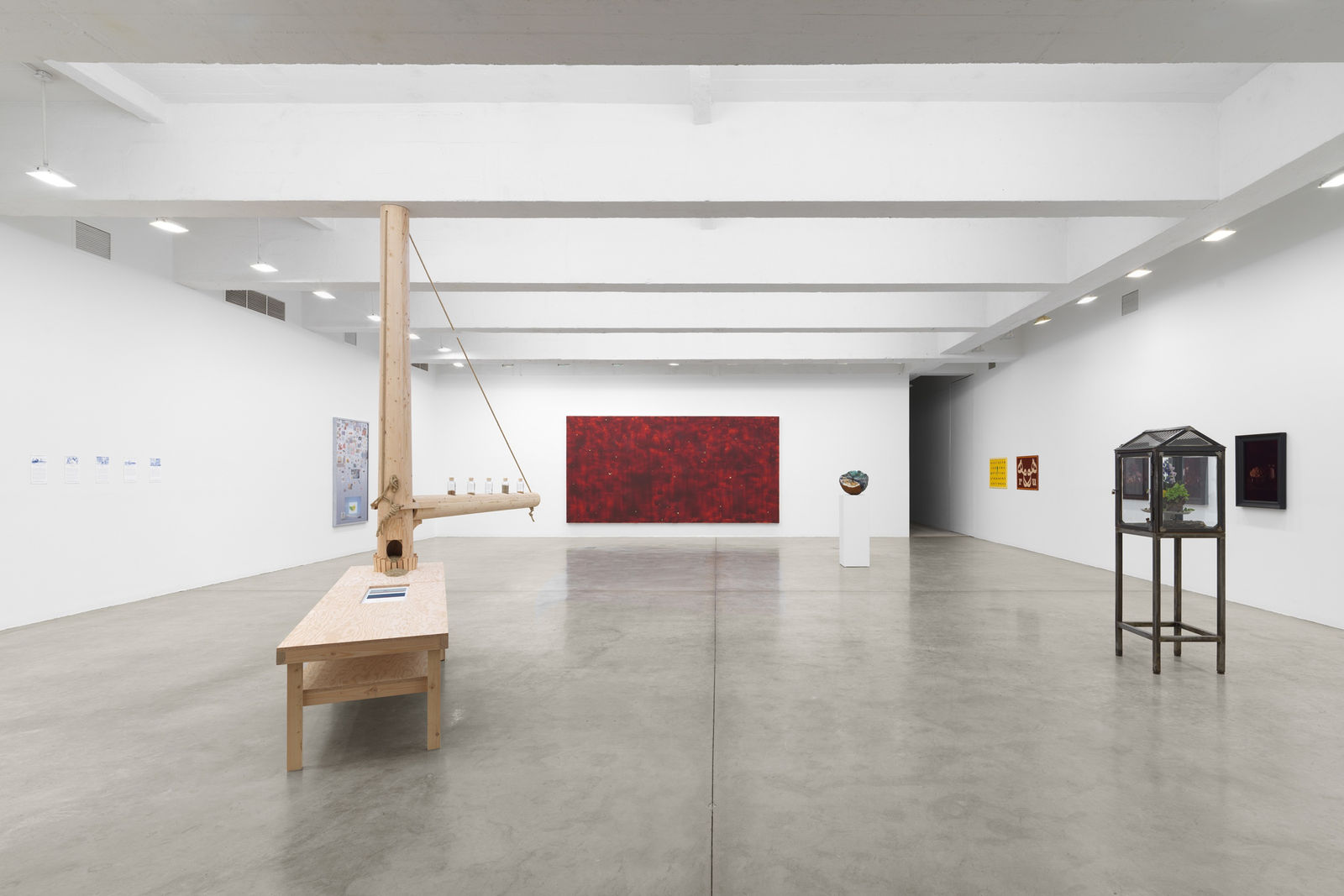 fruiting bodies installation images.