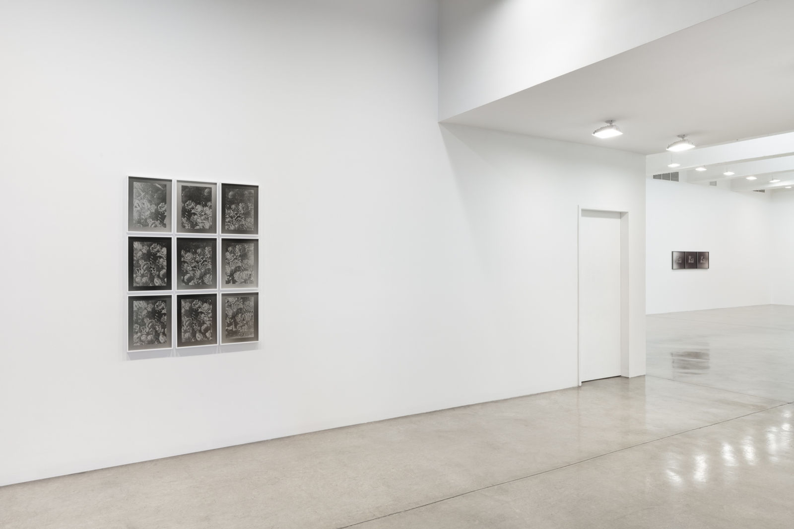 Lisa Oppenheim's installation view.