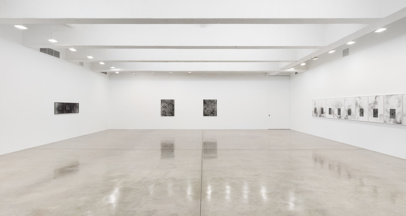 Lisa Oppenheim's installation view.