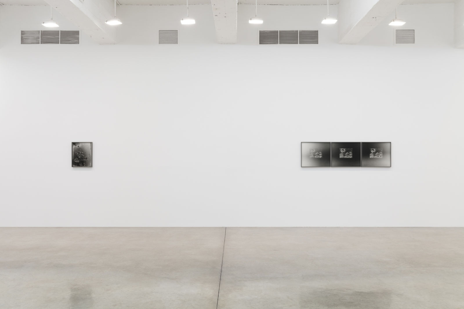 Lisa Oppenheim's installation view.