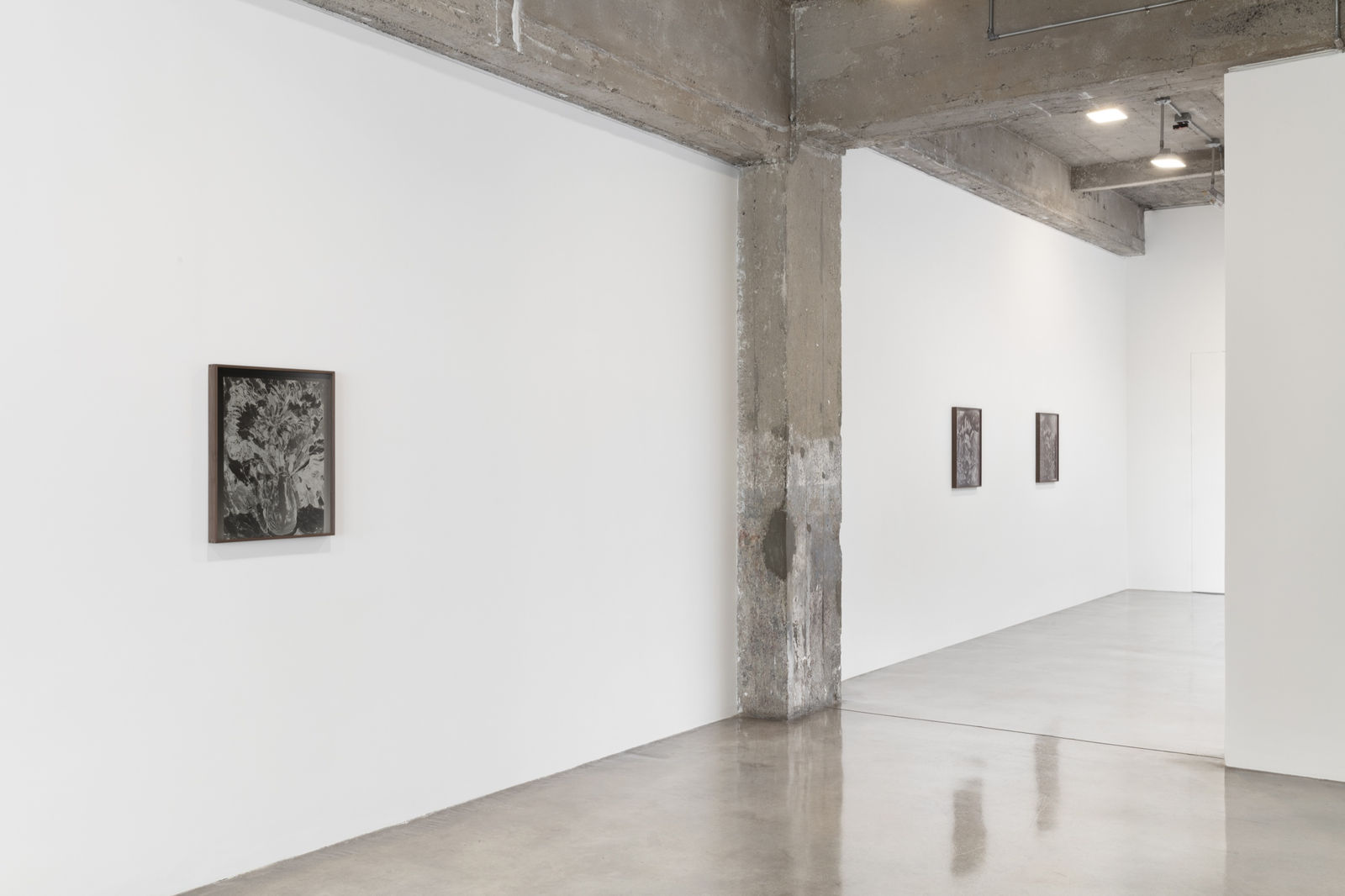 Lisa Oppenheim's installation view.