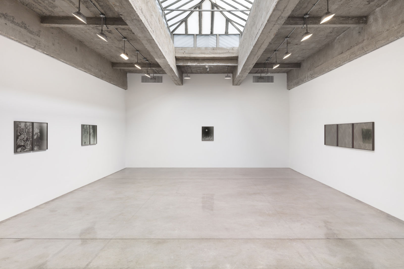Lisa Oppenheim's installation view.