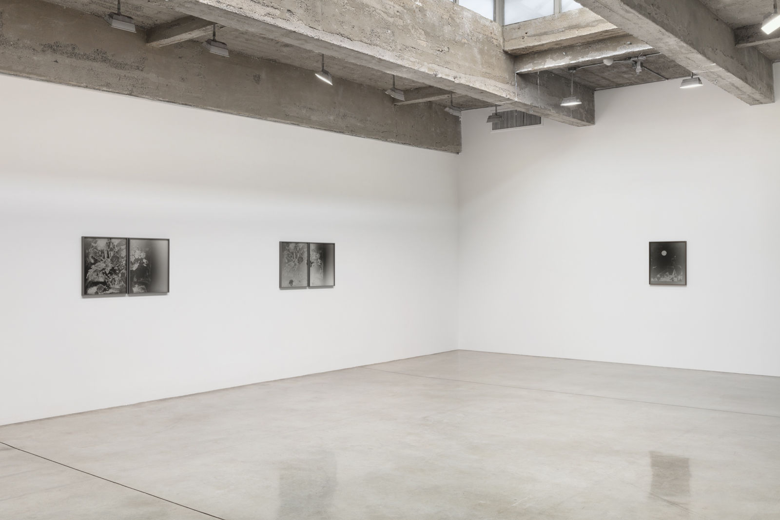 Lisa Oppenheim's installation view.