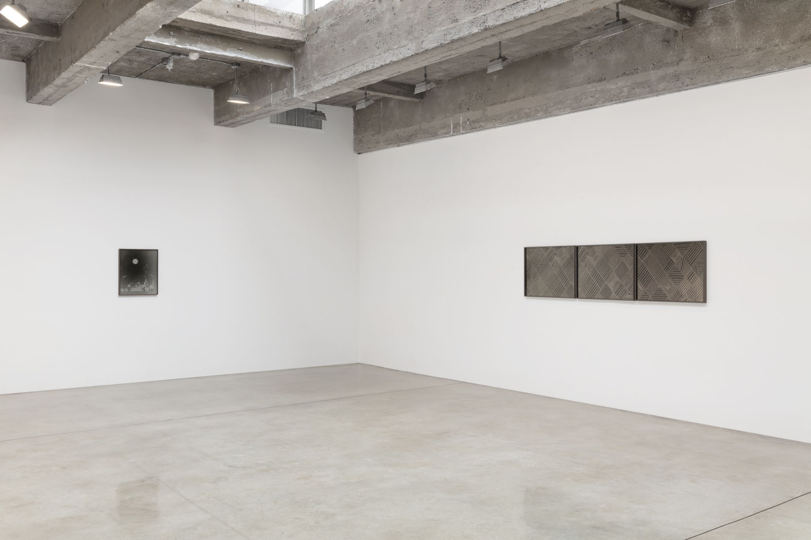 Lisa Oppenheim's installation view.