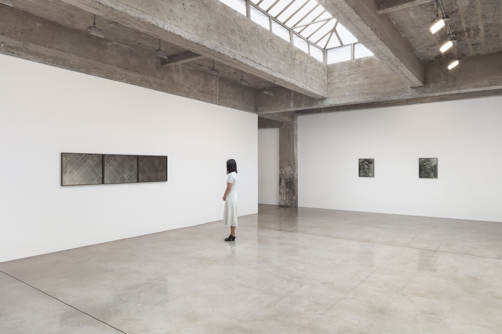 Lisa Oppenheim's installation view.