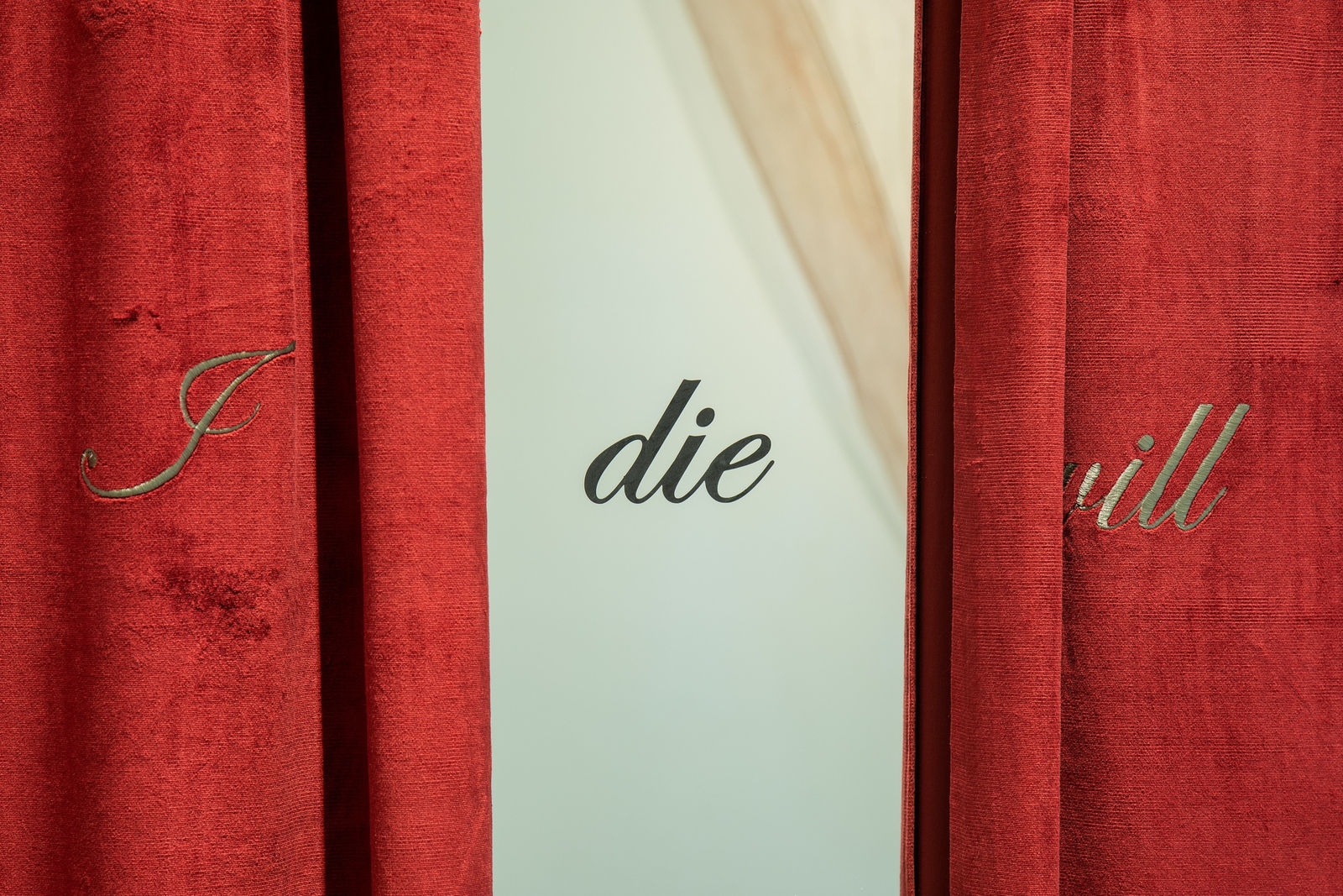 Installation image of Shilpa Gupta & Marisa Merz: visibileinvisibile