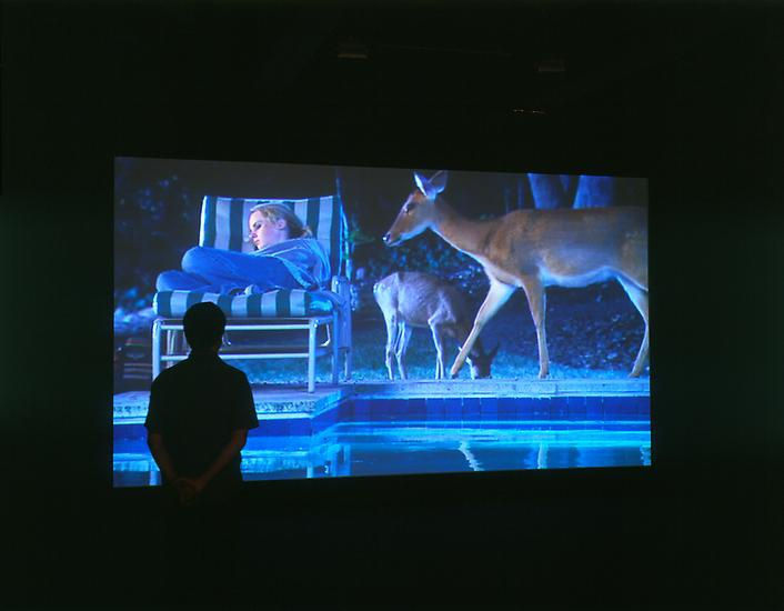 video house with pool install shot