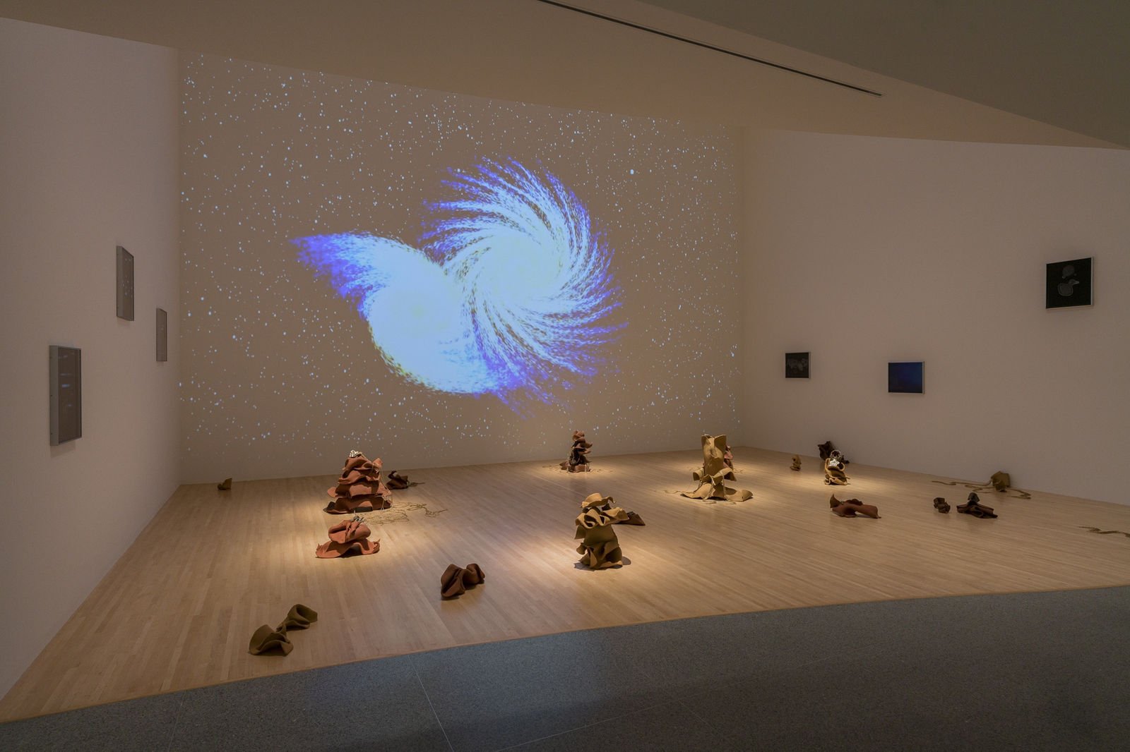 Kelly Akashi installation image.