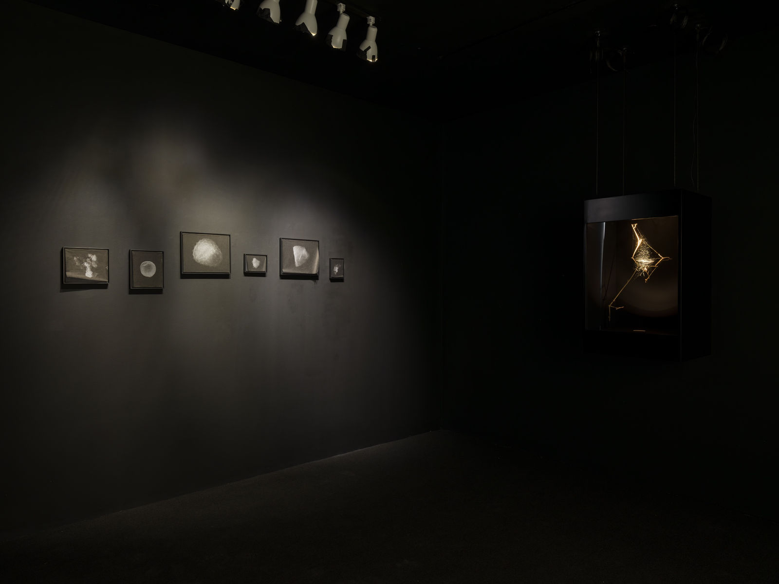 Saraceno installation image