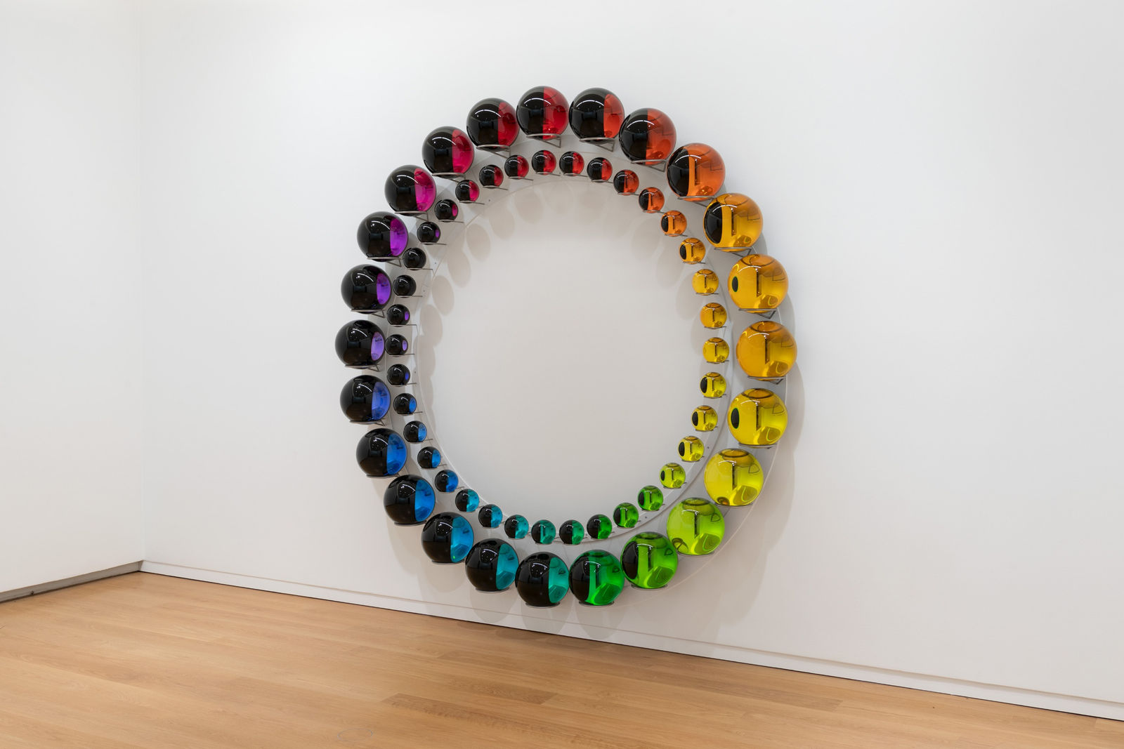 Installation view: Olafur Eliasson: Your curious journey, Auckland Art Gallery Toi o Tāmaki, 2024