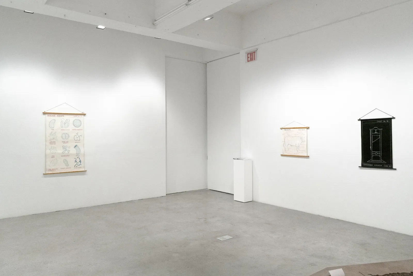 Dion installation view.