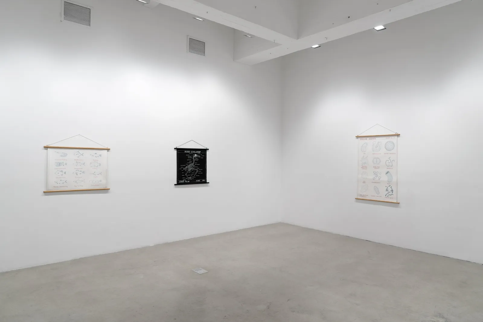 Dion installation view.