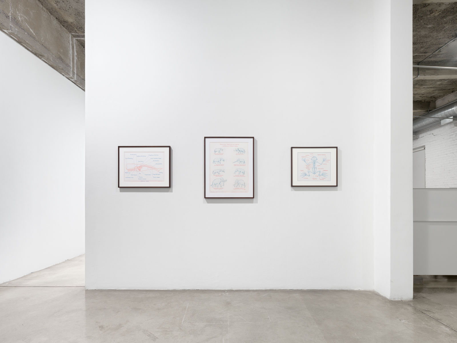 Mark Dion Installation image at TBG 2026.