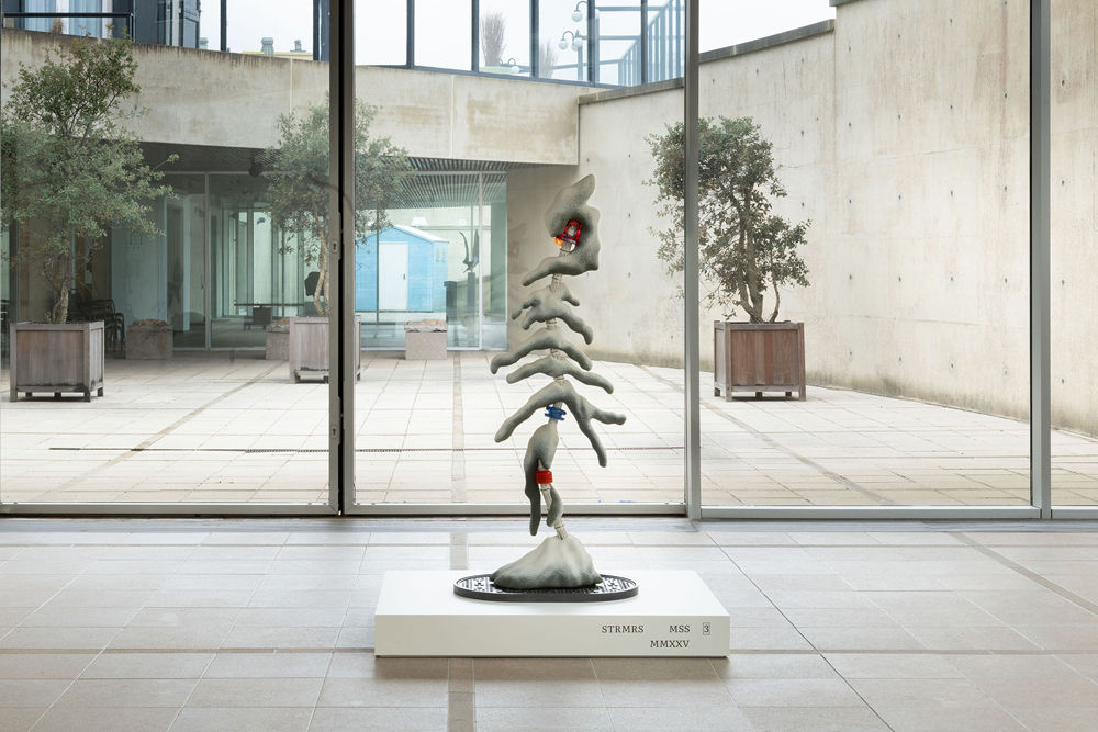 Magali's installation image at Museum Beelden aan Zee.