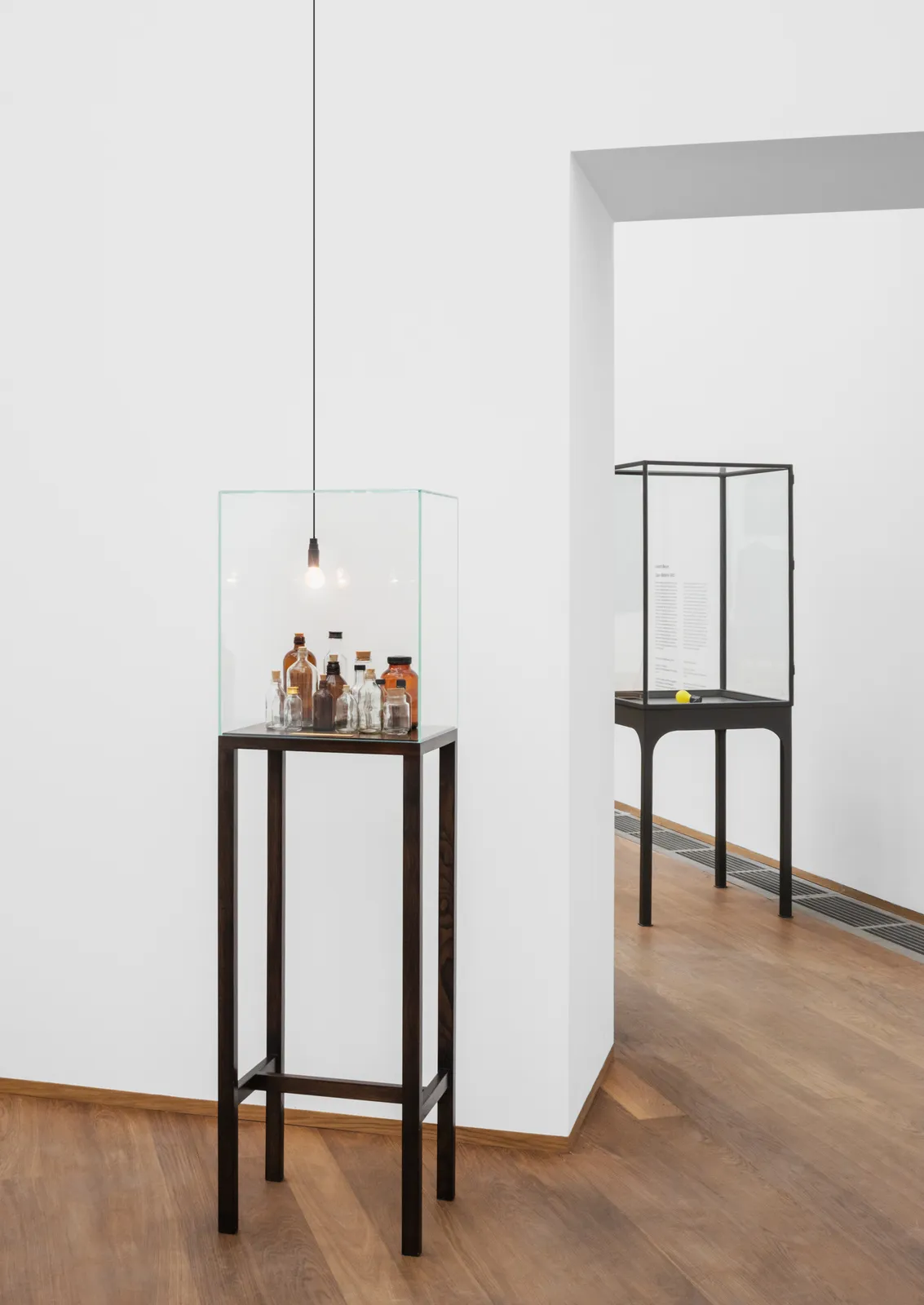 Shilpa Gupta's installation image.