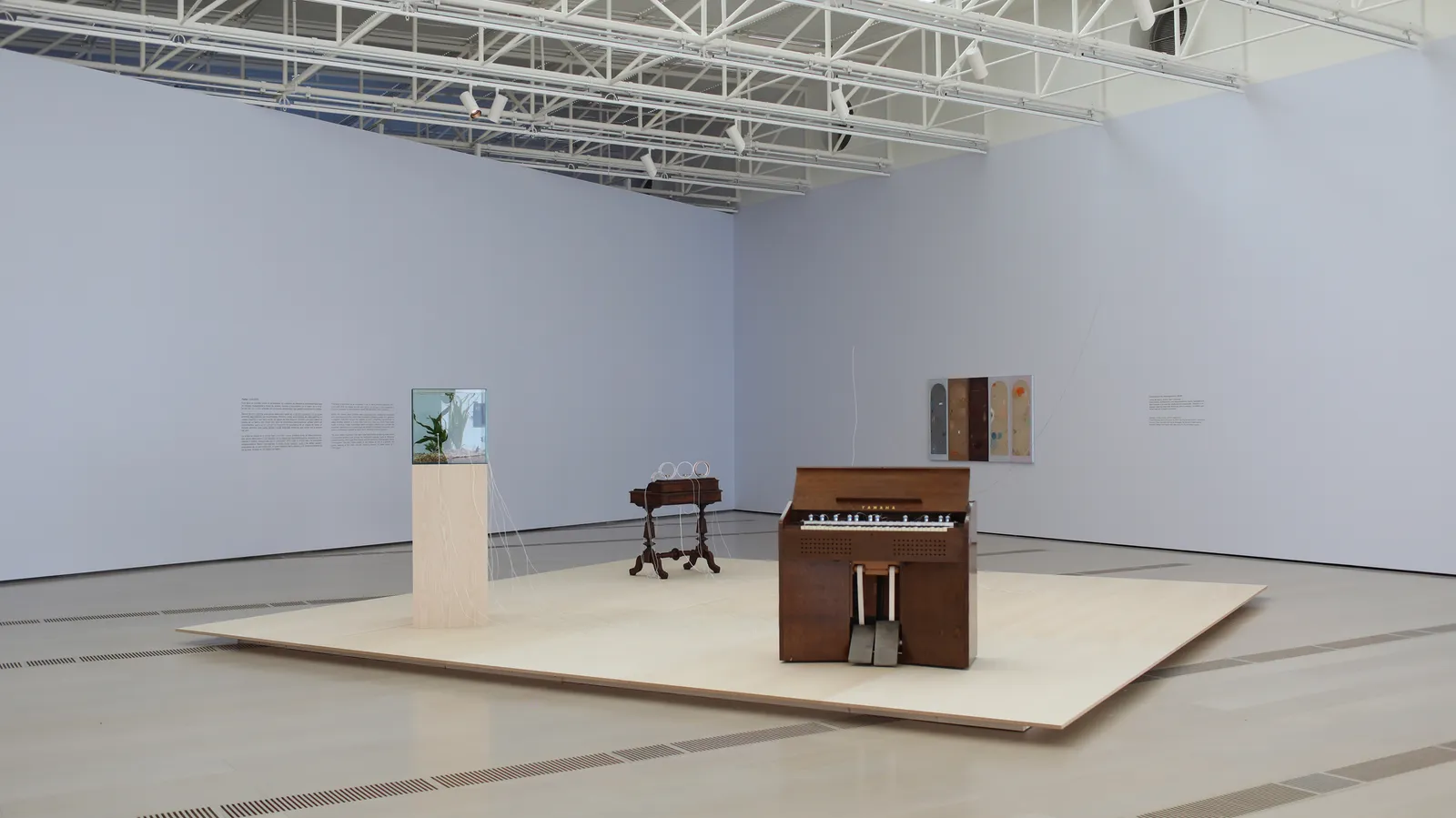 Installation images of YUKO MOHRI: Entanglements.