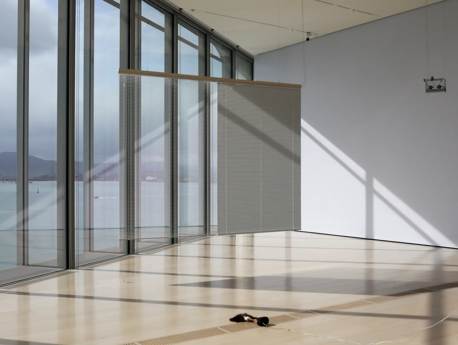 Installation images of YUKO MOHRI: Entanglements.